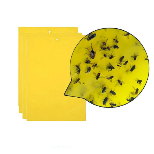 Strong Flies Traps Bugs Sticky Board Catching Aphid Insects Pest Killer (5 Pc Set)